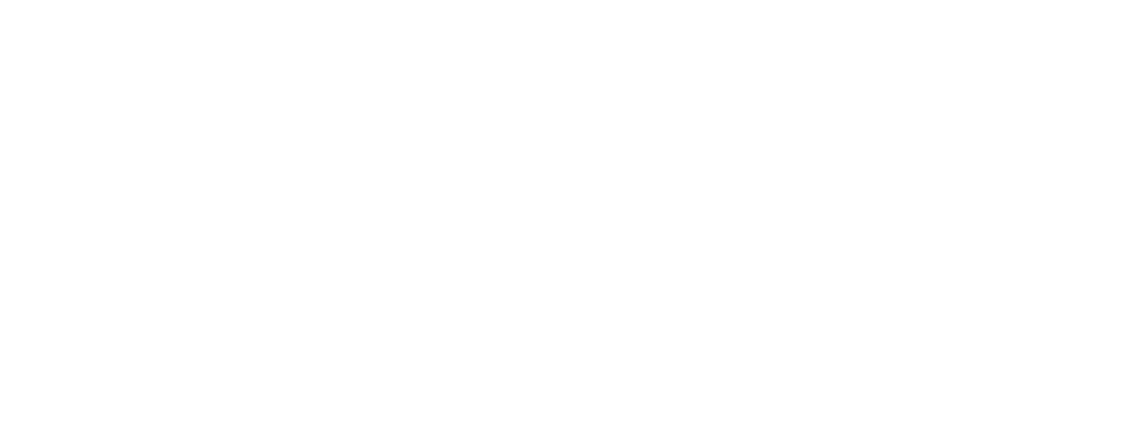 Droneventi_logo-06